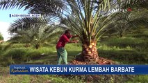 Kebun Kurma Barbate, Jadi Salah Satu Pilihan Objek Wisata di Bulan Ramadan!
