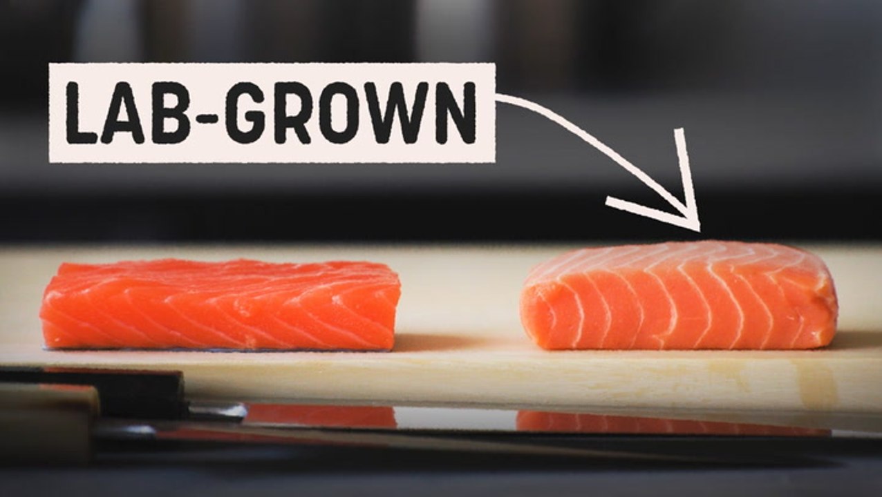 Could lab-grown salmon be the future of fish?