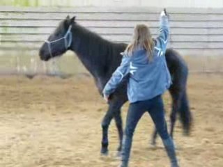 Aspiration des hanches