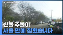 군위 산불 사흘 만에 주불 진화...340여 ha 영향권 / YTN