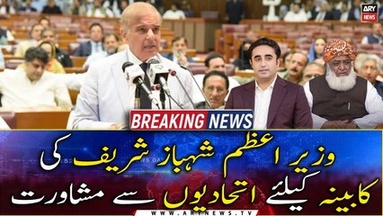 PM Shehbaz Sharif's Consultations with allies for the federal cabinet