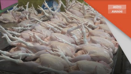 Harga Ayam | Kos meningkat, peniaga kenakan caj pemotongan