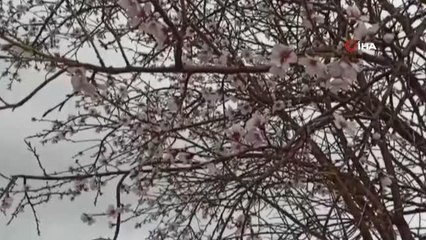 Afyonkarahisar'da yüksek kesimlere kar yağdı