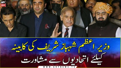 PM Shehbaz consult with allies for the federal cabinet