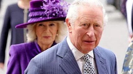 'Haven’t you the read brief?' Charles fury at Camilla as royal faced 'relentless routine'