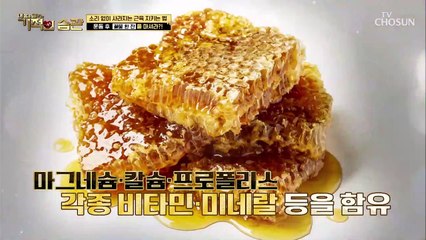 돌연사를 유발하는 근손실 근육 회복에 도움 주는 꿀TIP TV CHOSUN 220412 방송
