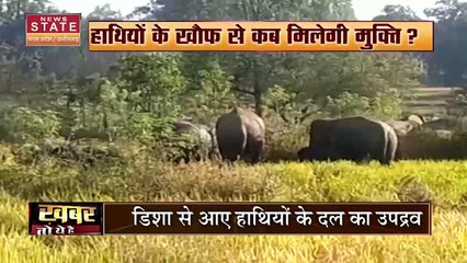 Chhattisgarh News: Chhattisgarh में हाथियों से रहें सावधान !
