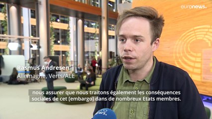 Ukraine : l'UE devrait-elle interdire toutes les importations de gaz et de pétrole russes?