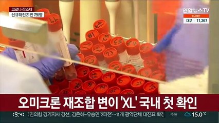 오미크론 재조합 변이 국내 첫 확인…"영향 제한적일 것"