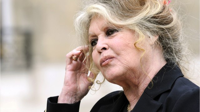 VOICI : Brigitte Bardot : sa lettre ouverte au vitriol contre Emmanuel Macron, le Poutine de la nature et des animaux