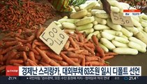 경제난 스리랑카, 대외부채 63조원 일시 디폴트 선언