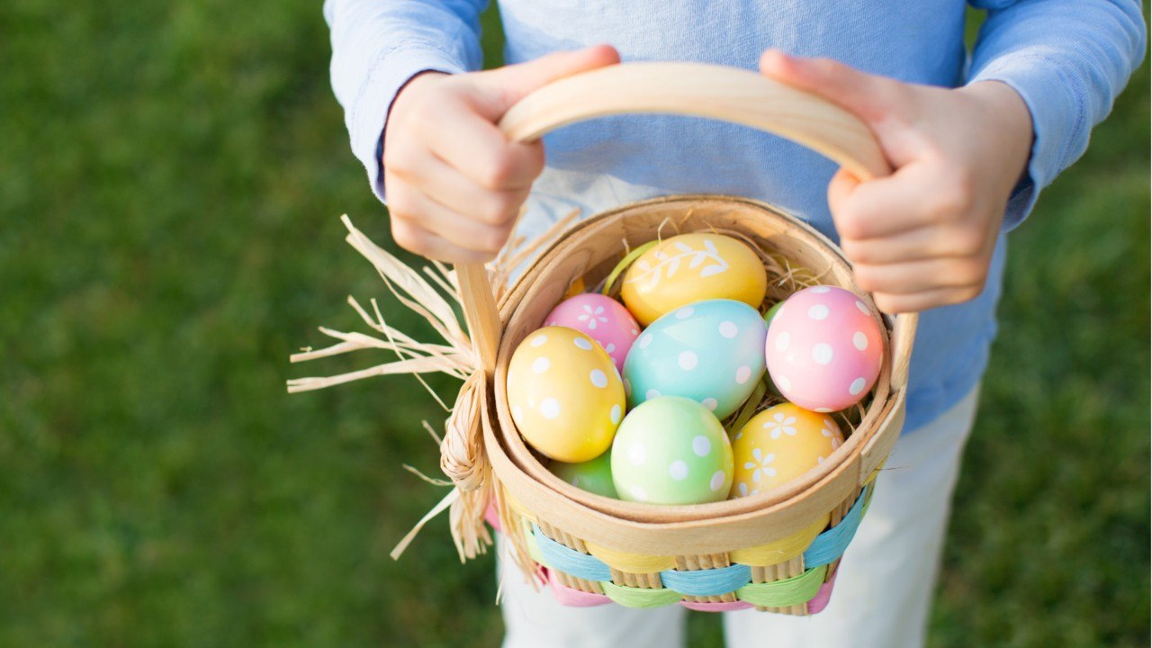 Dürfen bunte eierschalen auf den kompost?