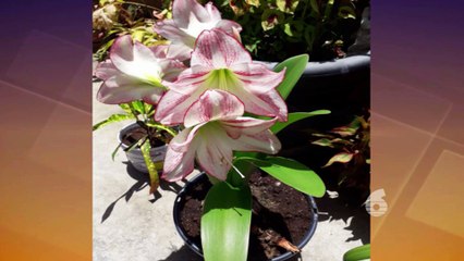 Morning Edition: 12th April 2022