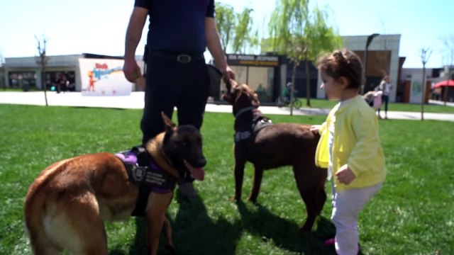 Balıkesir Büyükşehir Belediyesi'nden hizmet üzerine hizmet! Büyükşehir'den miniklere ara tatil hediyesi