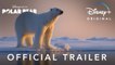Polar Bear Trailer 04/22/2022
