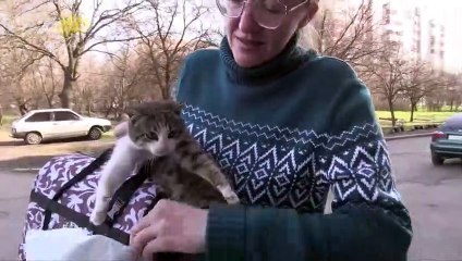 These Animal Rescuers Are Risking Life and Limb to Save Animals in Ukraine