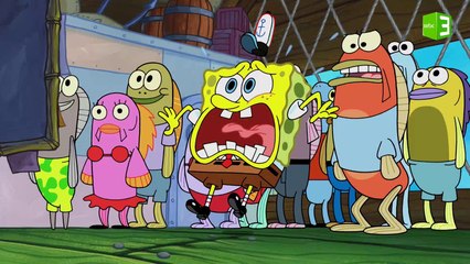 سبب صياح سبونج بوب