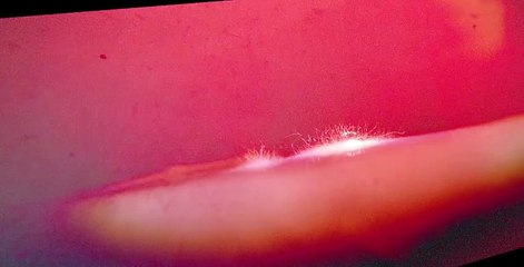 Equinox S01 E02