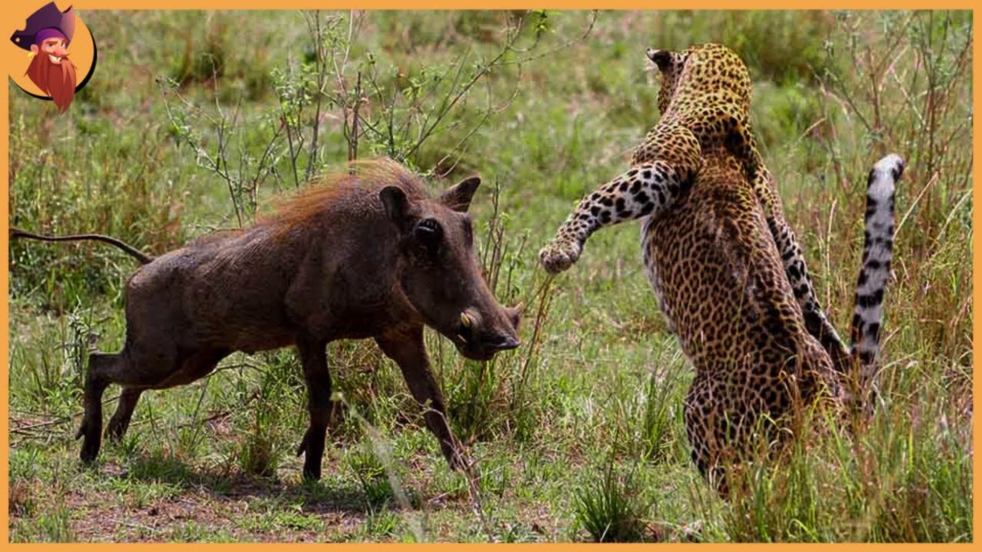 ⁣the most wild moments ever caught on camera