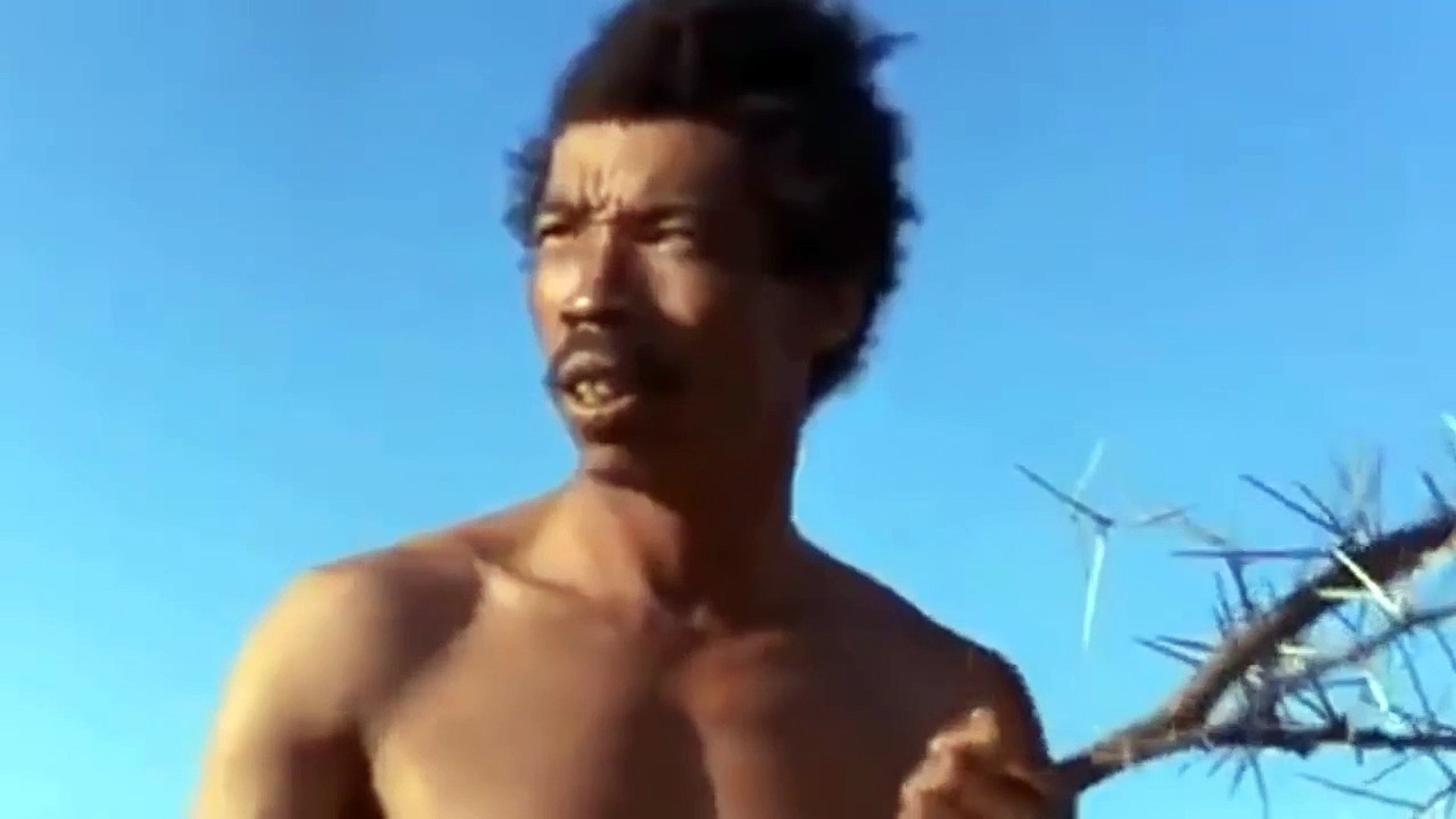 ⁣Nobel Massa Aborigines throw himself between  Hyenas And Baboon  jaws to save this  poor Ostrich