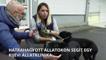 A legkiszolgáltatottabbakon segít egy kijevi állatklinika