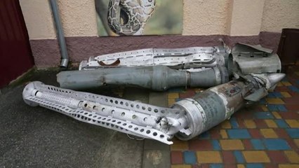 Los trabajadores del zoo de Mykolaiv se niegan a abandonar a los animales