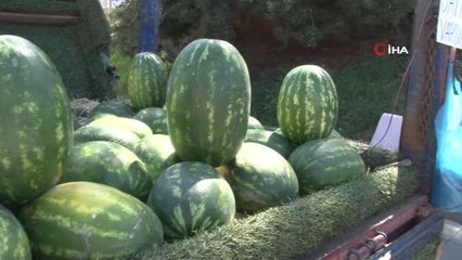 Karpuzun fiyatı yükselince çözümü IBAN'da buldu