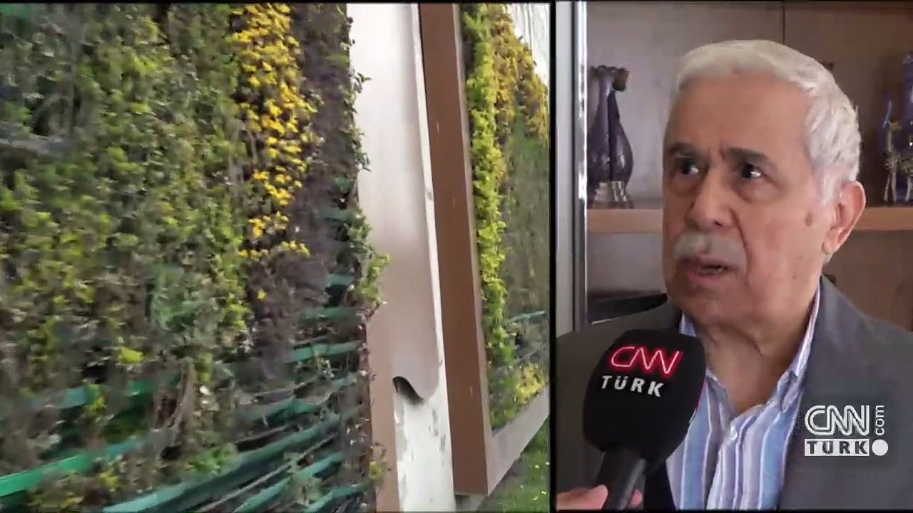 Dikey bahçe mi gri duvar mı?