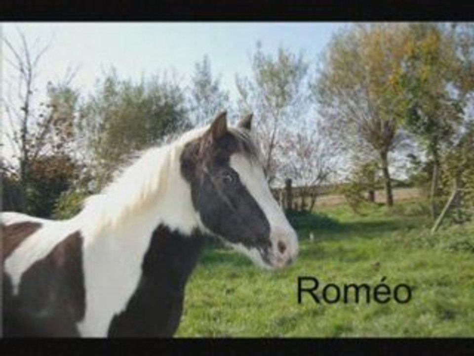 Laura et roméo