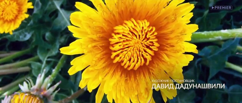 Здравствуйте, вам пора! - 4 серия