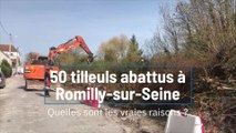 50 tilleuls abattus à Romilly-sur-Seine : Quelles sont les vraies raisons ?