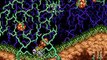 Super Ghouls'n Ghosts Restoration online multiplayer - snes