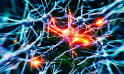 لقاح ياباني جديد يزيل الخلايا المسببة للشيخوخة وتقلص الشرايين