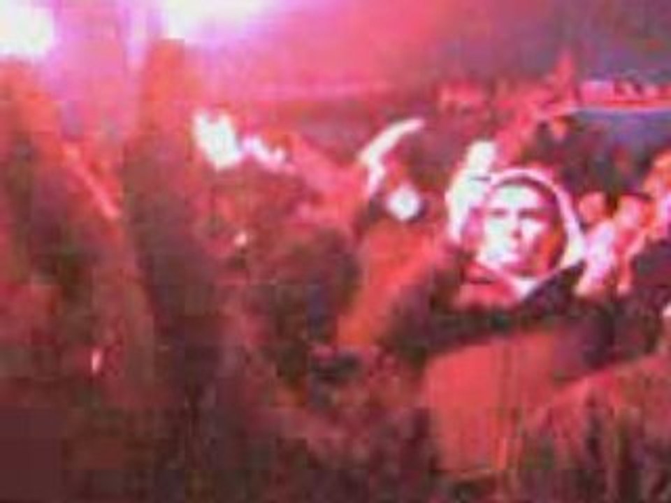 CASUALS PARIS hommage au cracker fou