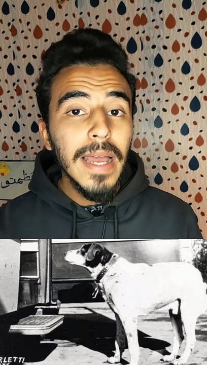 اوفي صديق ف العالم