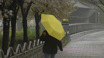 [날씨] 오늘 전국 반가운 단비...비 내리며 고온·건조 해소 / YTN