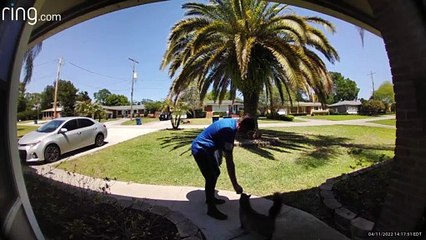Door to Door Salesman Gives Love to Kitty at Front Door