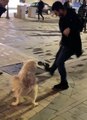 TERAVİH NAMAZINA GELEN KİŞİNİN AYAKKABISINI KAPIP KAÇAN KÖPEK GÜLÜMSETTİ