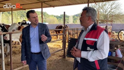 ‘6 dana satıp bir traktör alıyordum, 10 danaya bir taksiti ödeyemem’