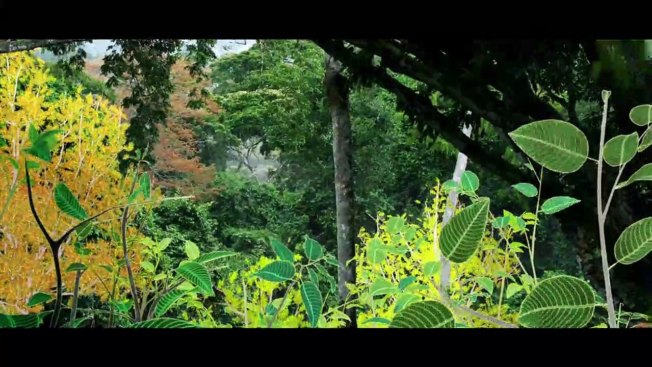 Il était une forêt Bande-annonce VF