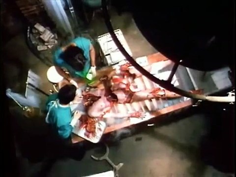 Re-Animator 2 Bande-annonce VO