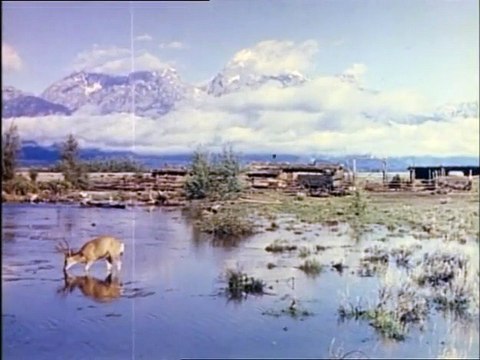 L'Homme des vallées perdues Bande-annonce VO