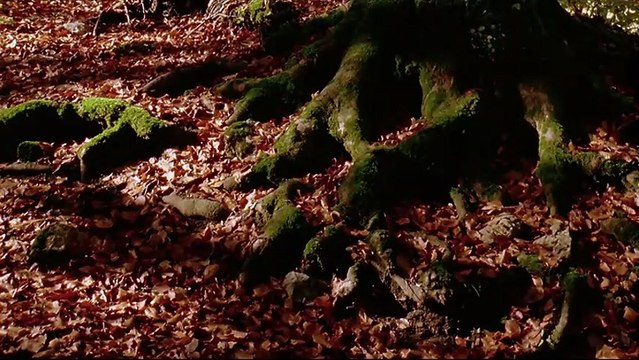 Vertige d'une rencontre Bande-annonce VF