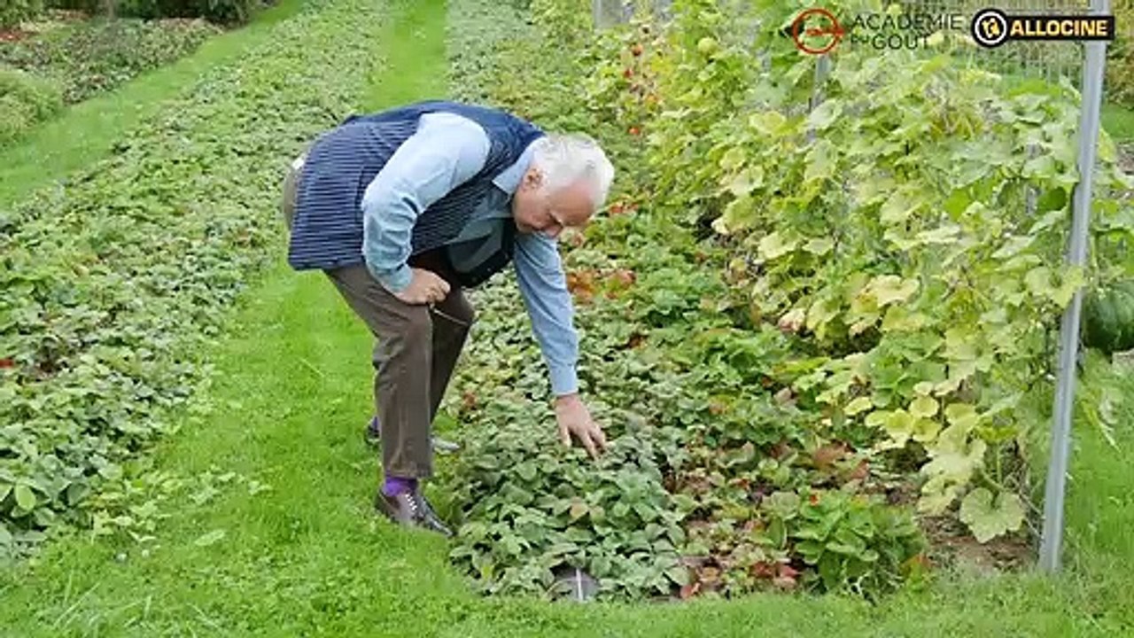 Dans le potager d'Alain Ducasse...