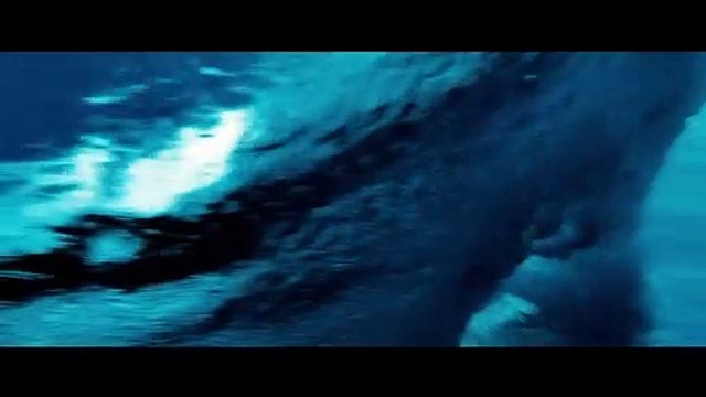 LA NUIT DE LA GLISSE Bande-annonce VF