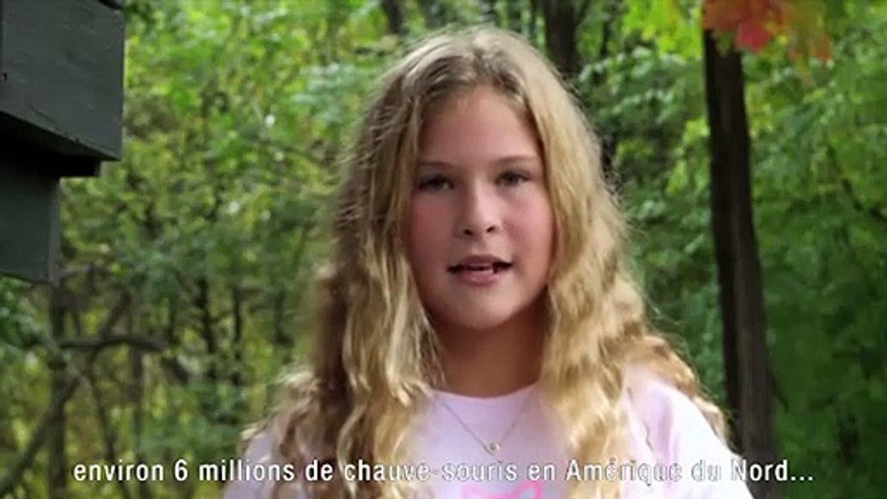 Batman au secours des chauves-souris !