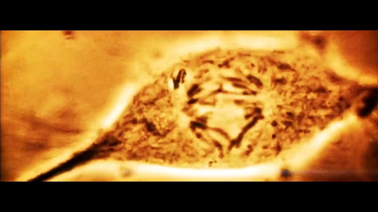 Ambition Bande-annonce VO