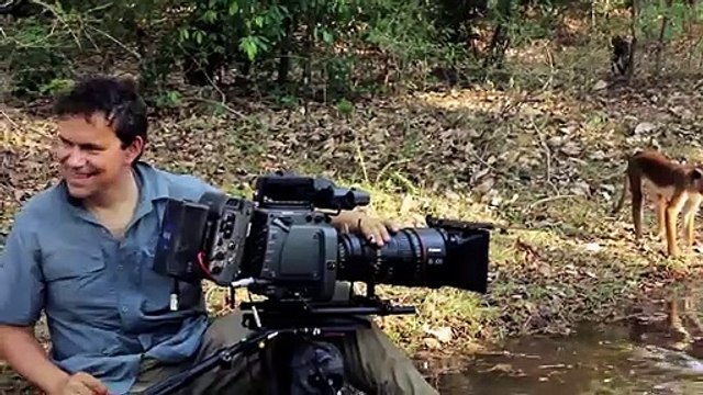 Au Royaume des Singes - BONUS L'avant-première européenne