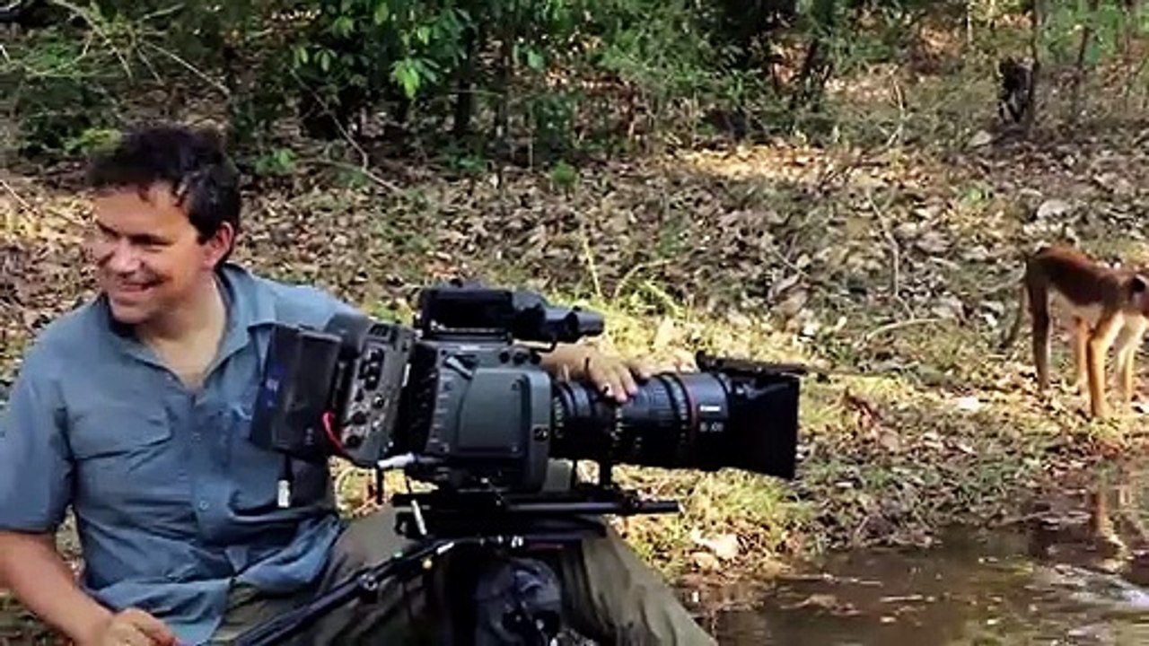 Au Royaume des Singes - BONUS "L'avant-première européenne"