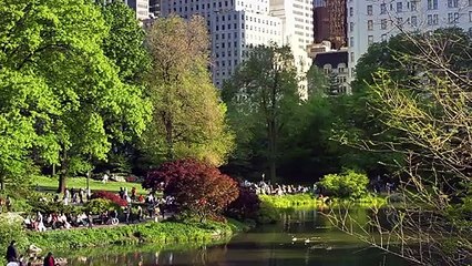 Scatter My Ashes at Bergdorf&#039;s Bande-annonce VO